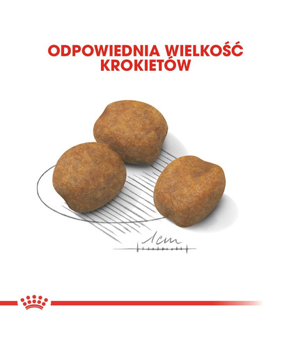 ROYAL CANIN Giant Puppy 3,5 kg kuivtoit kutsikatele vanuses 2-8 kuud, suurtele tõugudele