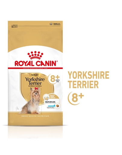 ROYAL CANIN Yorkshire Terrier Adult 8+ 0,5 kg kuivtoit täiskasvanud Yorkshire terjeritele, vanemad kui 8 aastat