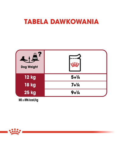 ROYAL CANIN Medium Ageing 10+ 10x140 g