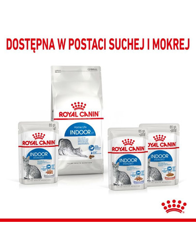 ROYAL CANIN Indoor Sterilised pasteet 12 x 85 g