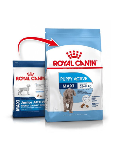 ROYAL CANIN Maxi Puppy Active 30 kg (2 x 15 kg) sausas maistas didelių veislių šuniukams, turintiems didesnį energijos poreikį