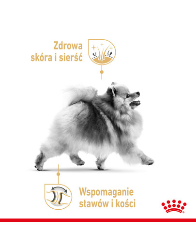ROYAL CANIN Pomeranian Adult 3 kg kuivtoit täiskasvanud mini spitz tõugu koertele