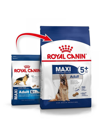 ROYAL CANIN Maxi Adult 5+ 30 kg (2 x 15 kg) kuivtoit vanematele koertele, 5 kuni 8 aastat, suurtele tõugudele.