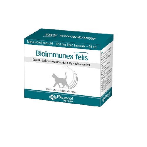 Vitaminai ir papildai katėms