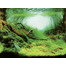 AQUA NOVA Kahepoolne akvaariumitaust 60x30cm taimed / ookean