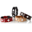 HUNTER Swiss odinis antkaklis dydis S-M (42) 35-39,5/2,6 cm raudonas
