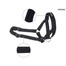 AMIPLAY Halter nylon n2 foxterrier  czarny