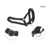 AMIPLAY Halter nylon n2 foxterrier  czarny