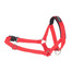 AMIPLAY Halter nylon n2 foxterrier  czerwony