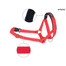 AMIPLAY Halter nylon n2 foxterrier  czerwony