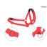 AMIPLAY Halter nylon n2 foxterrier  czerwony