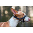 AMIPLAY Halter nylon n2 foxterrier  czarny