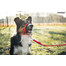 AMIPLAY Halter nylon n2 foxterrier  czarny