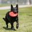 KONG Flyer Frisbee S