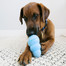 KONG žaislas Puppy Medium 85mm kp2