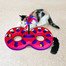 KONG Cat Active Eight Track interaktiivne mänguasi kassidele