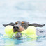 KONG Mänguasi airdog kont medium 15,5 cm