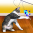 KONG Cat Teaser Feather Assorted õngeritv kassidele