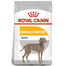 ROYAL CANIN Maxi Dermacomfort 12 kg kuivtoit täiskasvanud koertele, suurtele tõugudele, kellel on ärritusele kalduv tundlik nahk