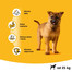 PEDIGREE Junior kuivtoit suurt tõugu koertele kanalihaga 15 kg