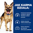 HILL'S Prescription Diet Canine GI Biome 10 kg toit seedetrakti haigustega koertele