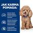 HILL'S Prescription Diet Canine GI Biome 10 kg toit seedetrakti haigustega koertele