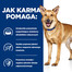 HILL'S Prescription Diet Canine i/d 4 kg toit seedetrakti haigustega koertele