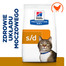 HILL'S Prescription Diet s/d Urinary Care kanaga 3 kg