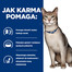 HILL'S Prescription Diet Cat K/D  Neeruhooldus 3 kg