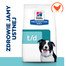 HILL'S Prescription Diet Canine t/d 4 kg toit, mis toetab teie koera suuõõne tervist