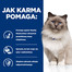 HILL'S Prescription Diet Feline r/d Kaalulangus 3 kg