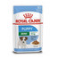 ROYAL CANIN Mini puppy 48x85 g märgtoit kastmes kuni 10 kuu vanustele kutsikatele, väikestele tõugudele
