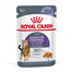 ROYAL CANIN Appetite Control Jelly 24x85g märgtoit täiskasvanud kassidele, kellel on liigne söögiisu