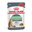 ROYAL CANIN Digest SENSITIVE kastmes 48x85g