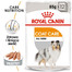 ROYAL CANIN Coat Care märgtoit - pasteet täiskasvanud tuhmi karvaga koertele 24 x 85 g