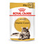 ROYAL CANIN Maine coon märgtoit kotikestes 48x85 g