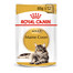 ROYAL CANIN Mainecoon kotikes 24x85 g