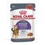 ROYAL CANIN Appetite Control Gravy 24x85 g märgtoit täiskasvanud kassidele, kellel on suur isu