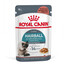 ROYAL CANIN Hairball Care 24x85 g Spetsiaalselt täiskasvanud kassidele, kellel on kalduvus karvapallide moodustamiseks