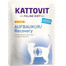 KATTOVIT Feline Diet RECOVERY Taastamiseks kuuriaga 85 g