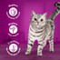 WHISKAS Adult saszetka 85g mokra karma dla dorosłych kotów w sosie z łososiem