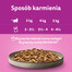 WHISKAS Pure Delight linnuliha friikartulid kana ja kalkuniga 4x85g