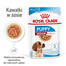 ROYAL CANIN Medium puppy 40x140 g