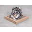 CARTON+ PETS Pappkasside kraapija Tom