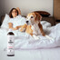 PETS šampoon Vitamiinšampoon lühikestele juustele 250 ml