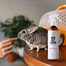 PETS Home Mist Perfume Sea Breeze 250 ml lõhna neutraliseeriv uduvesi siseruumidele