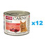 ANIMONDA Carny Senior Veise- ja kalkunisüdamed 12x200 g