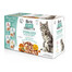 BRIT CARE Fillets in Gravy Box Pouch Sterilized 12X85g steriliseeritud kasside puhul