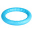 PULLER Pitch Dog blue 20` ring koertele sinine 20 cm