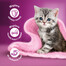 WHISKAS Junior kotike 48x85g Drobiowe Frykasy märja kassitoiduga želees: kana, kalkun, linnuliha, pardi